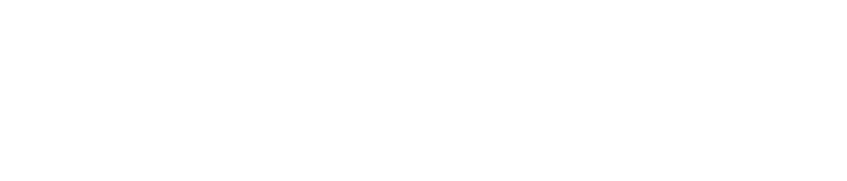 logo-Bluweb2